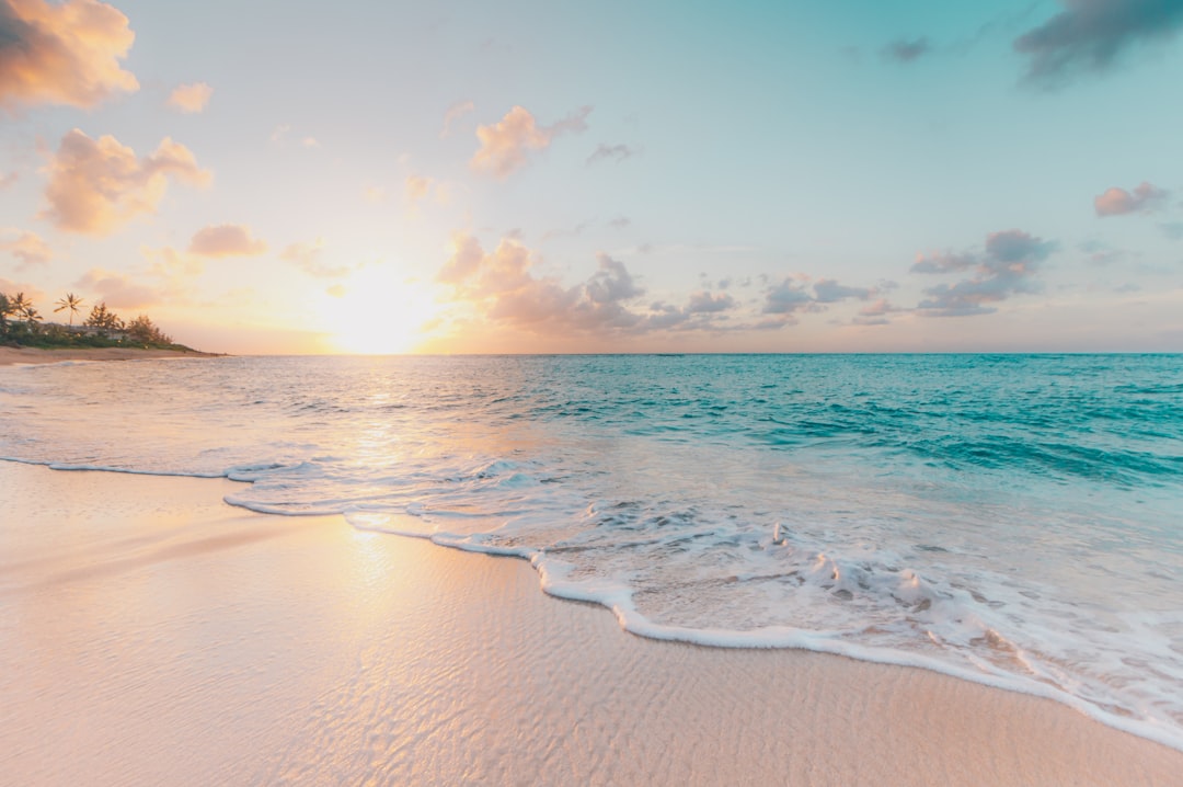 Look around, what place can you see in the image? — I can see___.
a) the beach
b) the mountains
c) the city
d) the park