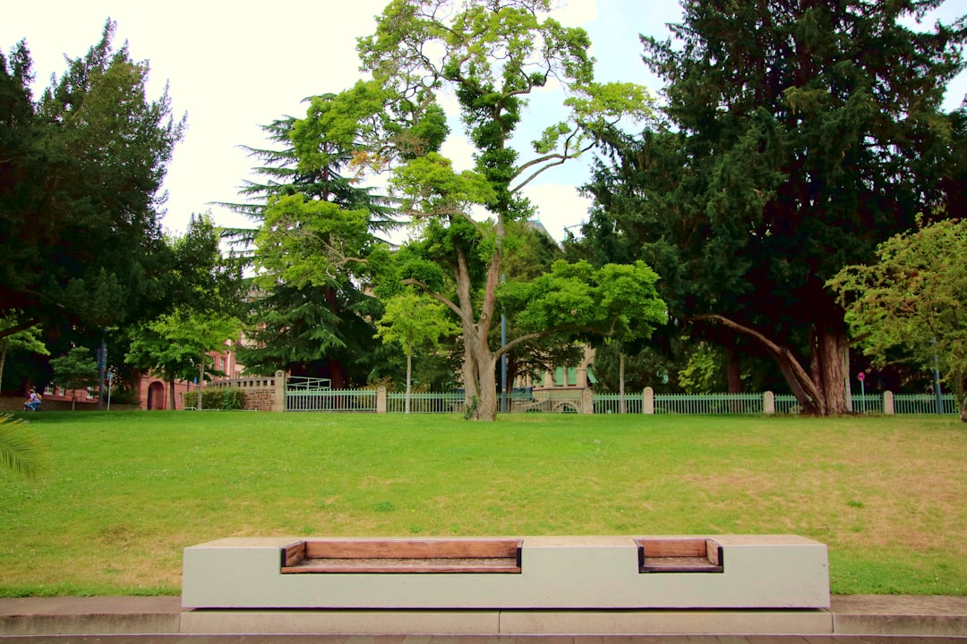 Look around, what place can you see in the image? — I can see___.
a) the beach
b) the mountains
c) the city
d) the park