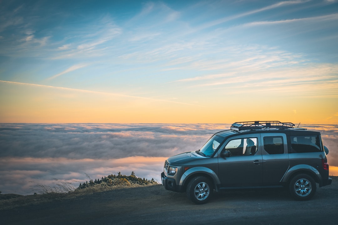 Do we go by car or by plane?