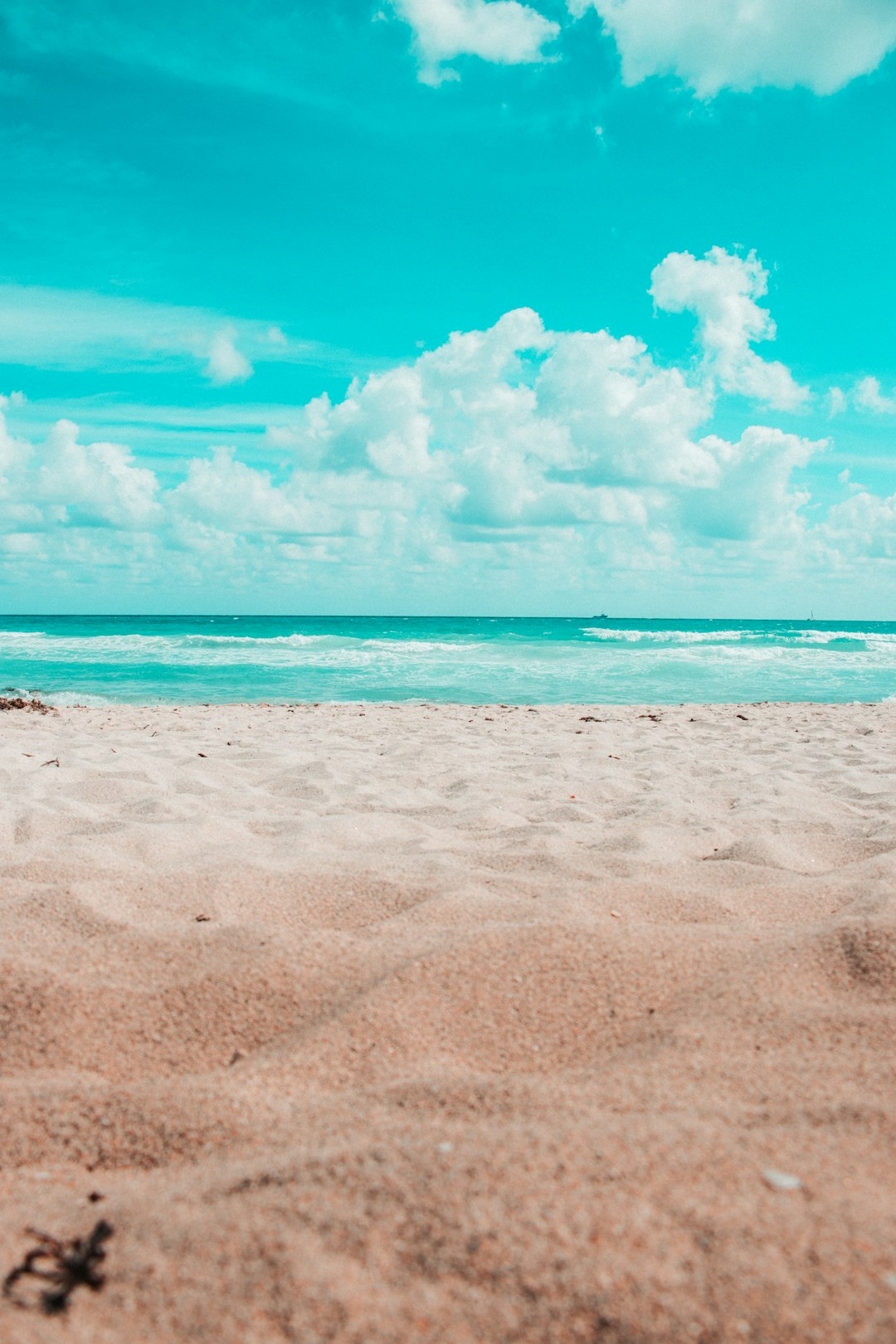 Is it the beach or the park?