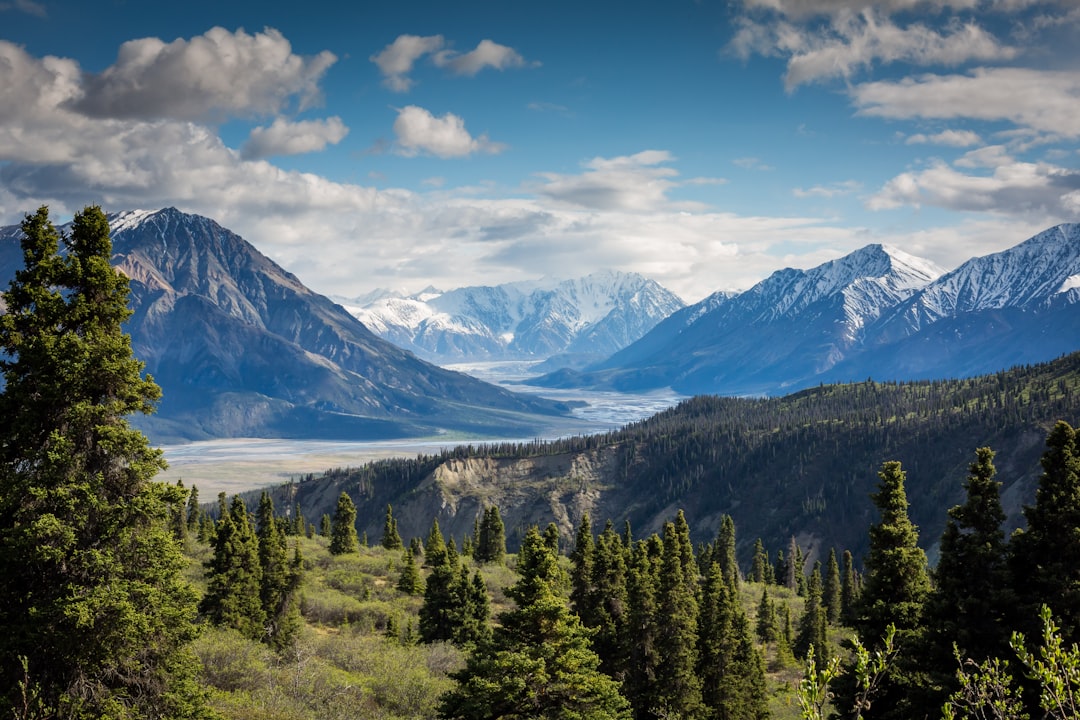 Look around, what place can you see in the image? — I can see___.
a) the beach
b) the mountains
c) the city
d) the park