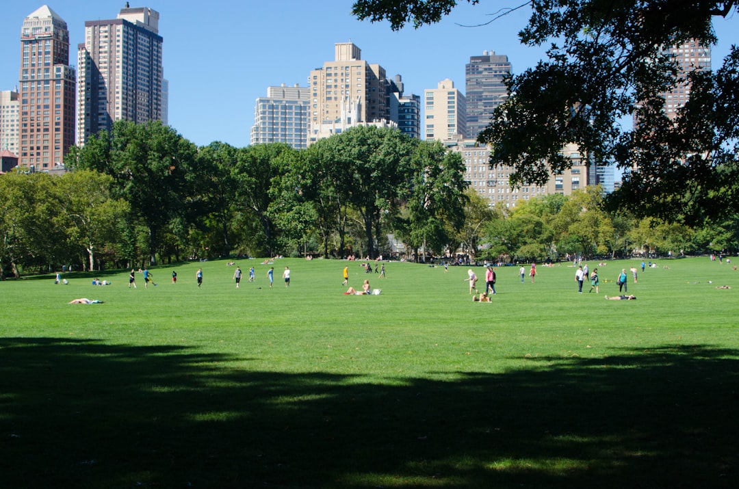 Do we play in the city or in the park?