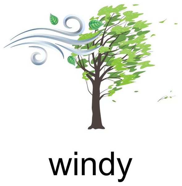 windy