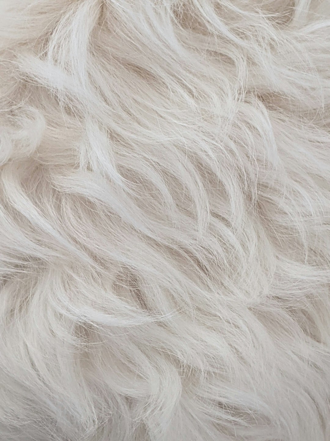 Fur