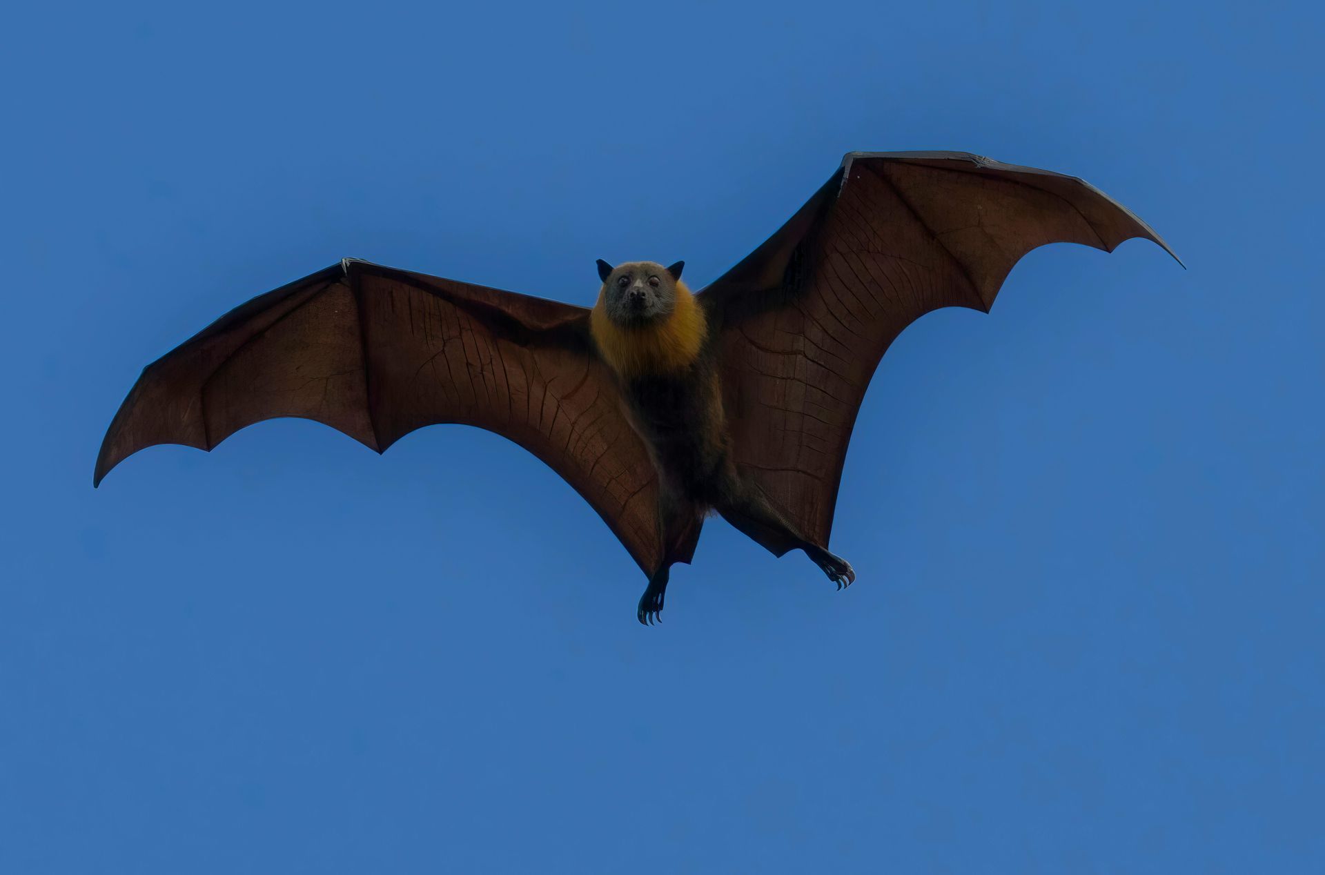 Spooky or Not?