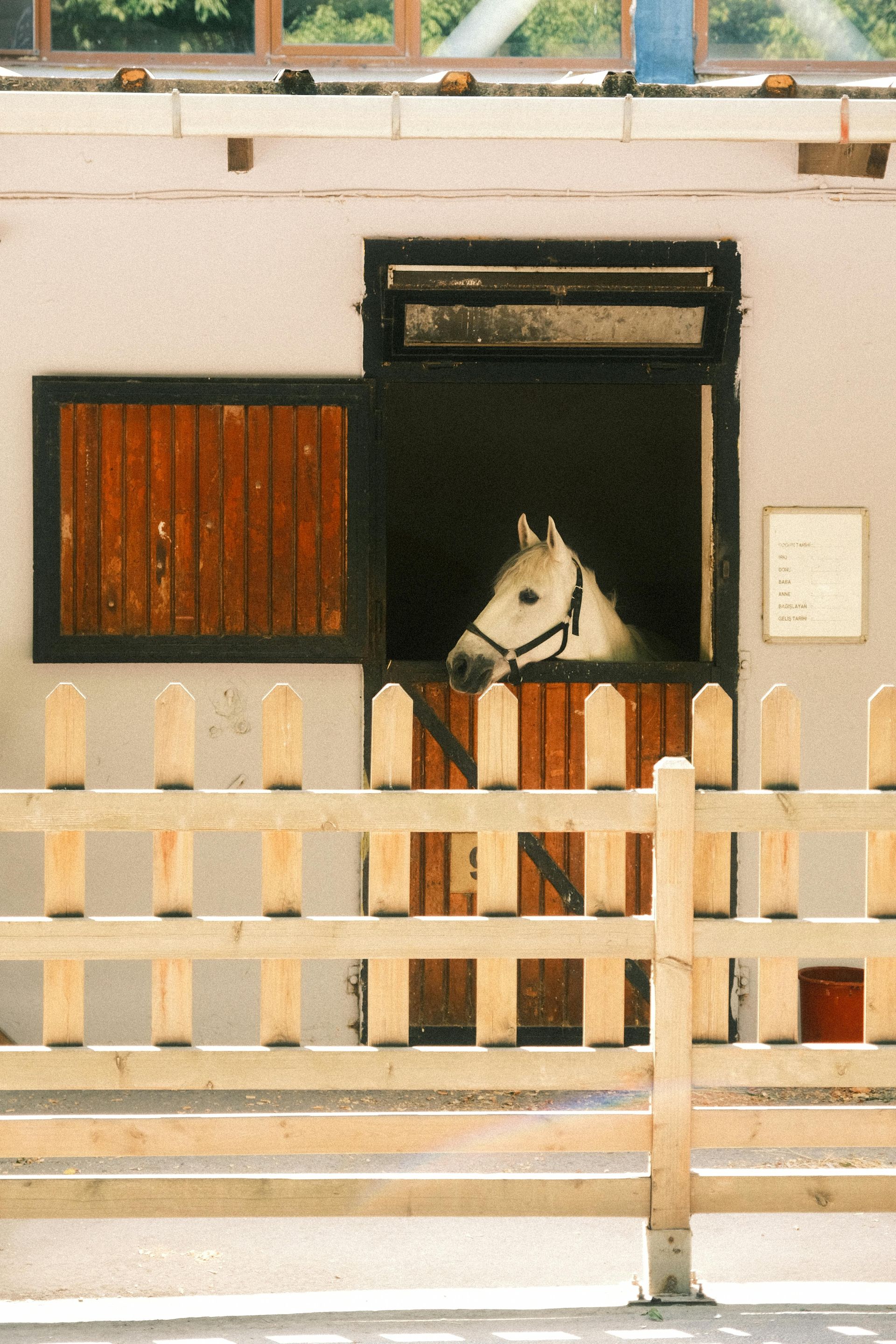 Stable