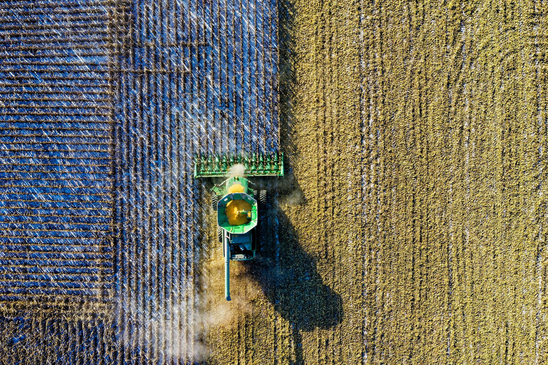 Harvest