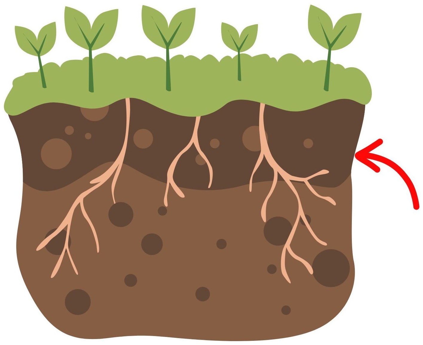 Soil