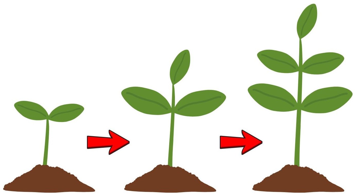 Grow