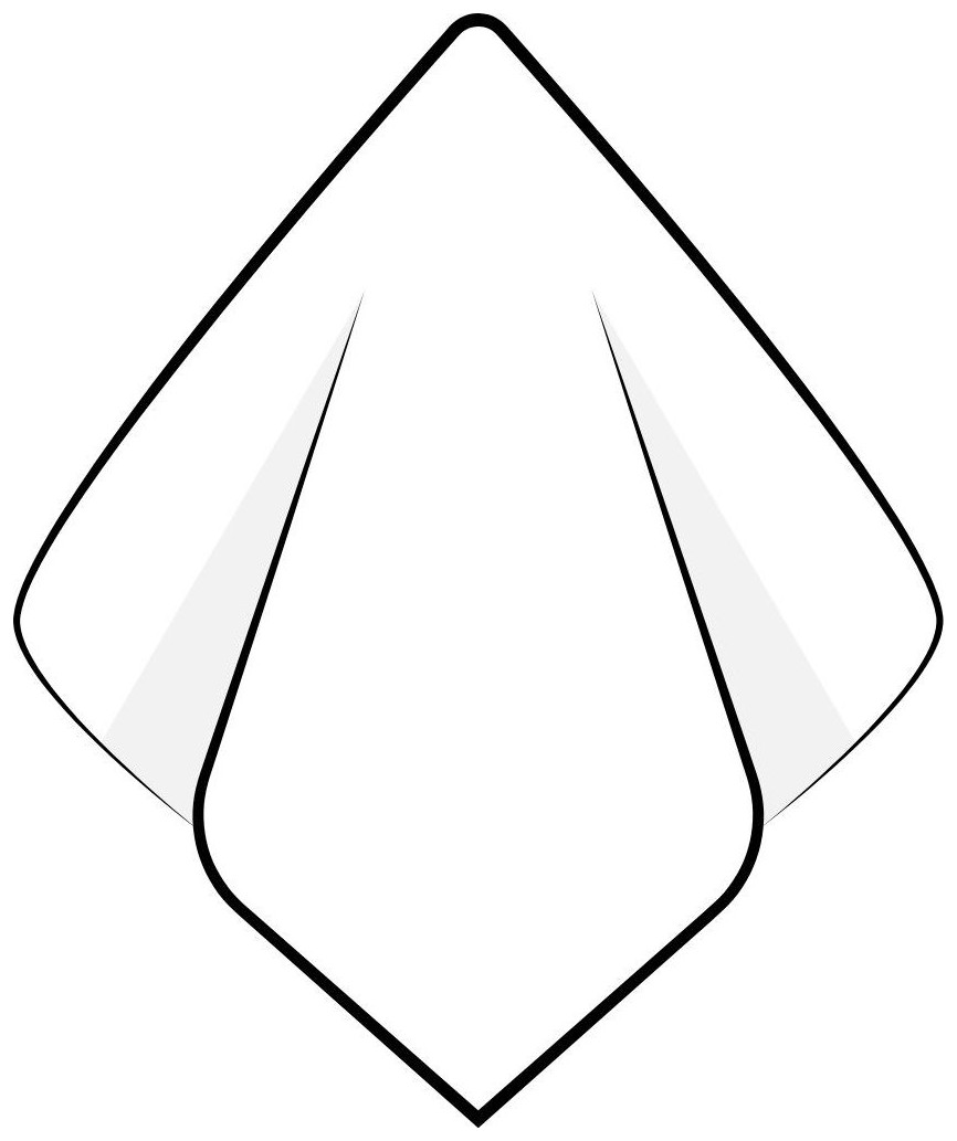 Napkin