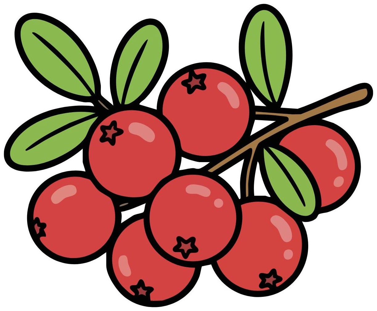 Cranberries