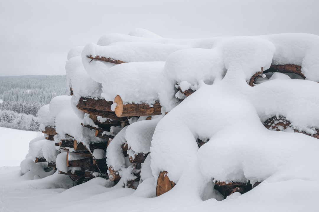 Snow blanket
