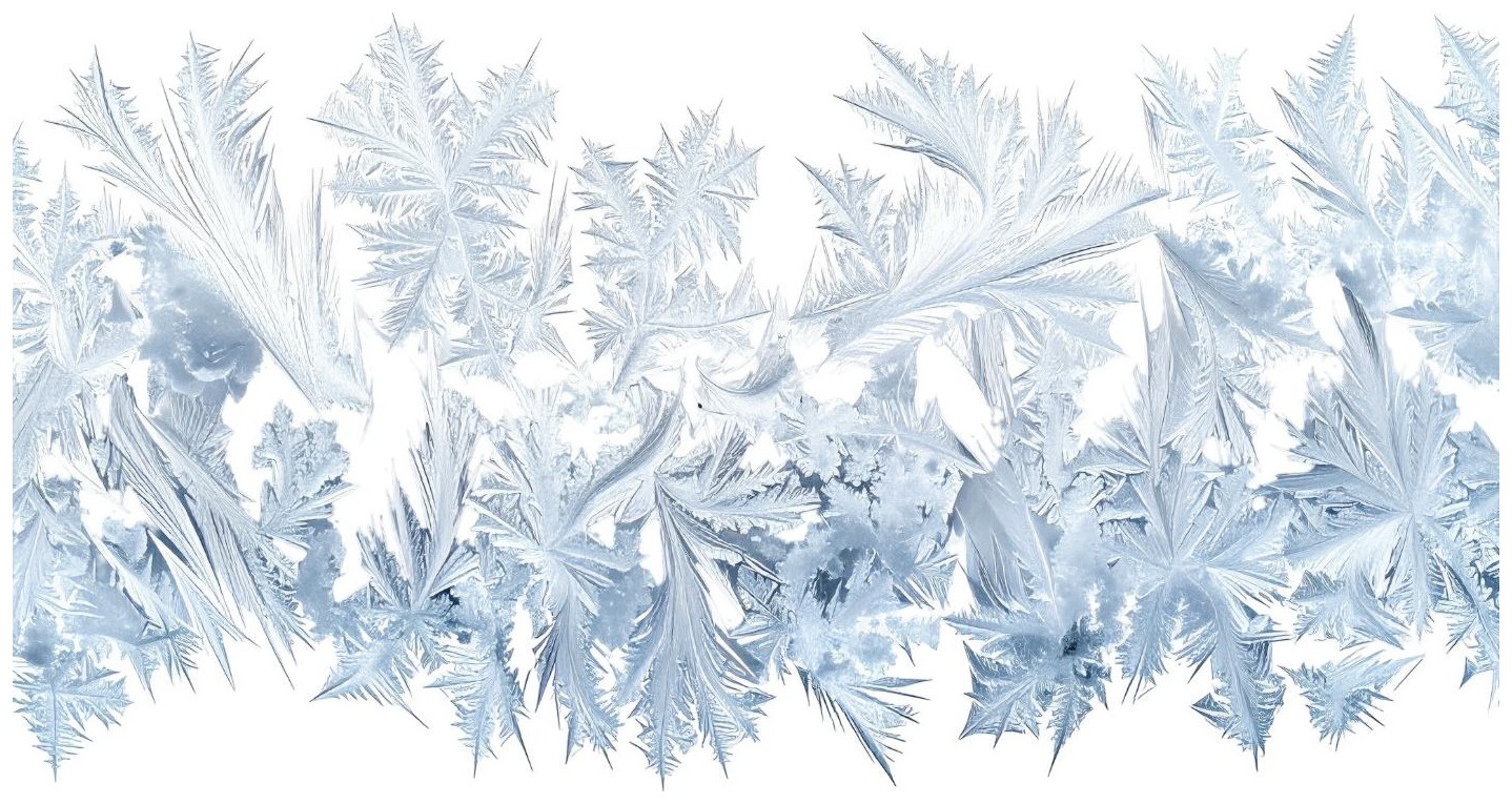 Frost