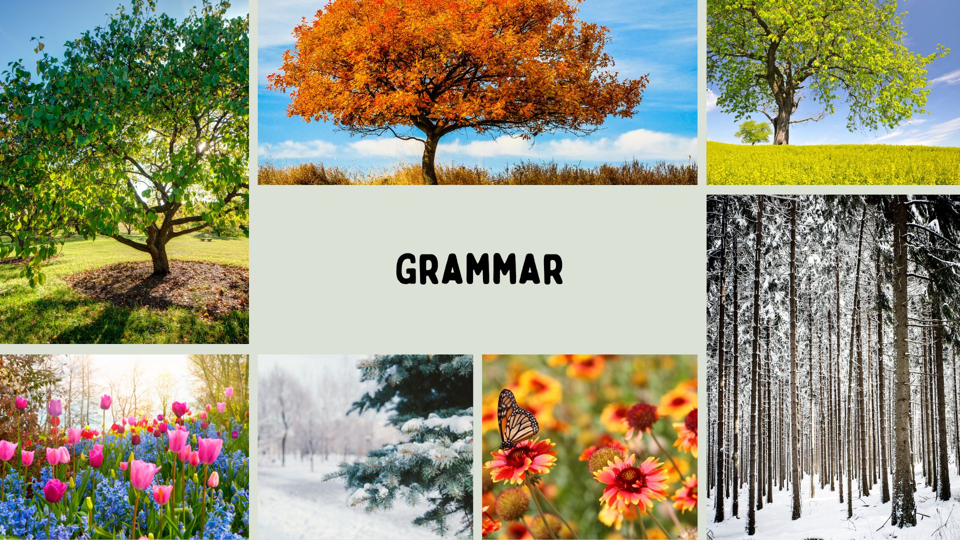 Grammar