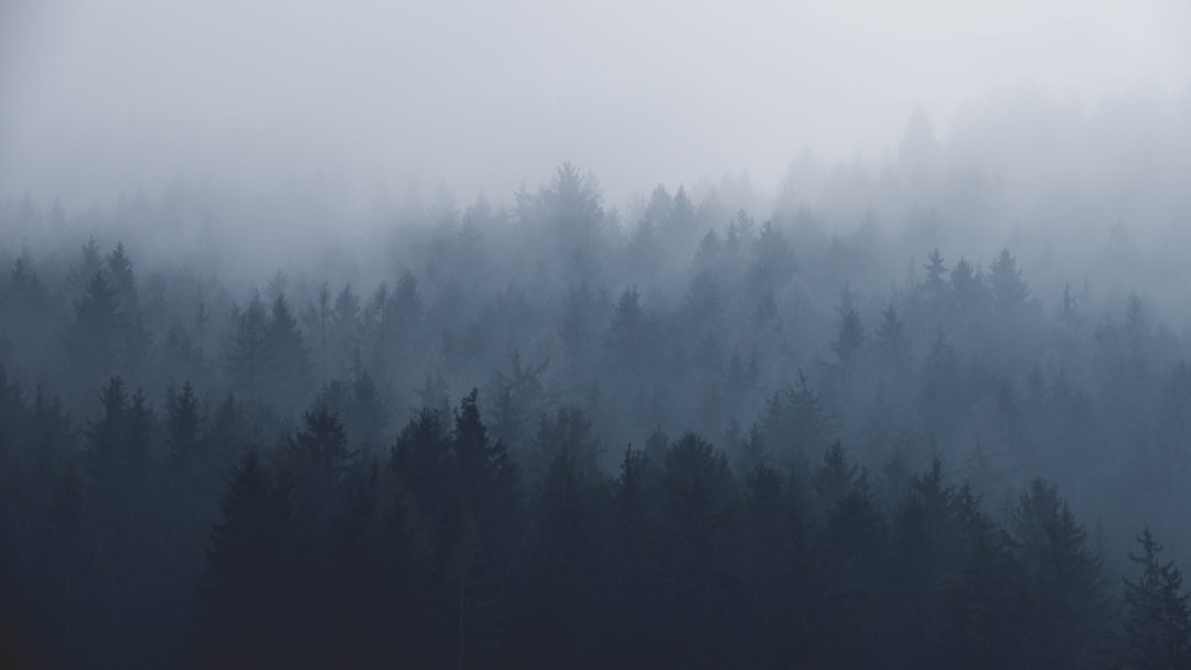 Foggy