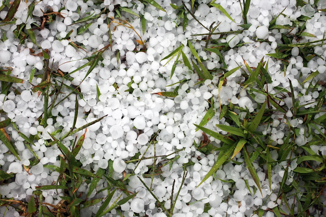 **4. Hail**
