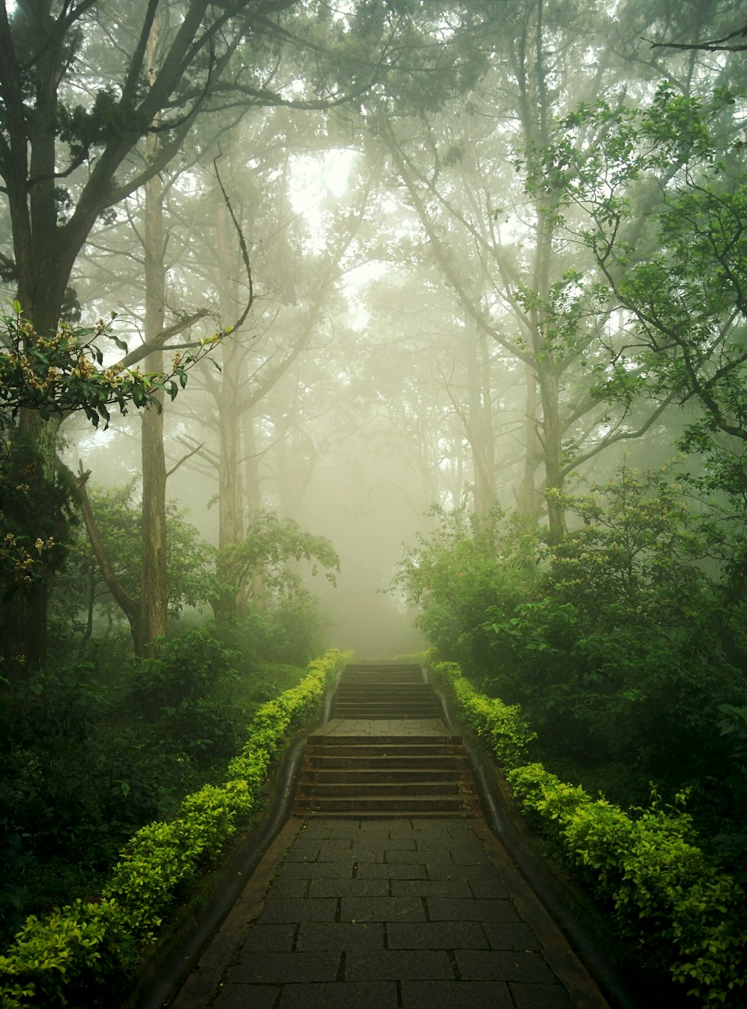 **5. Mist**