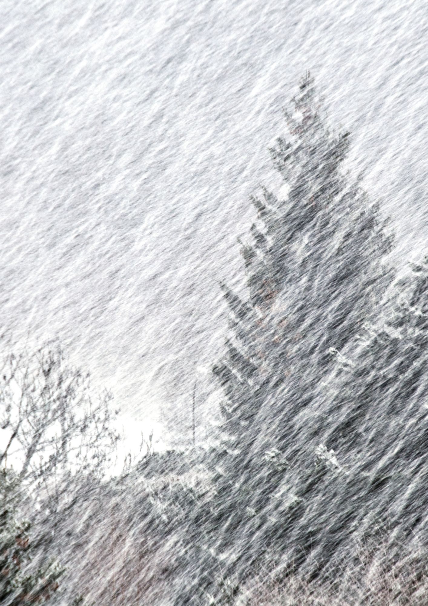 Blizzard