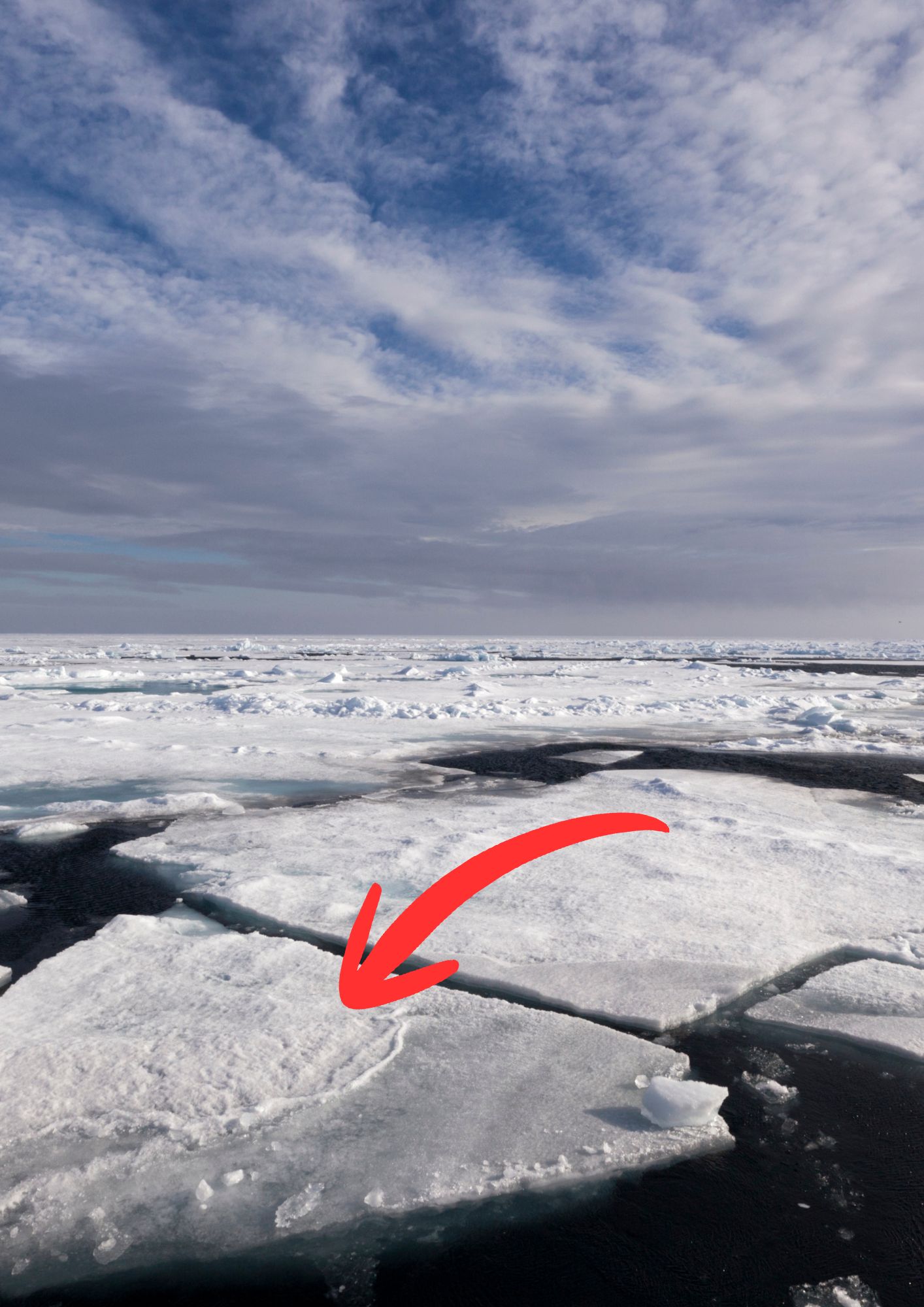 Ice floe