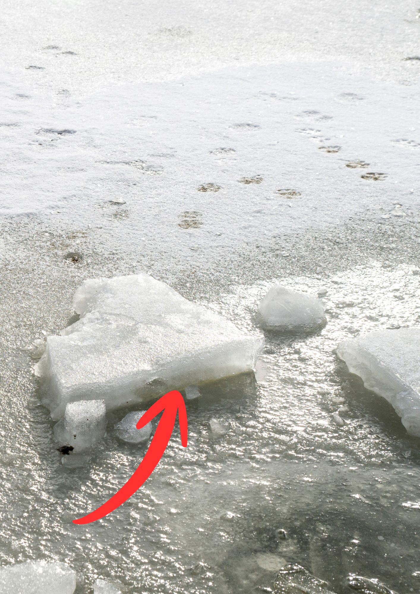 Thick ice