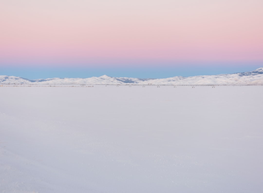Tundra
