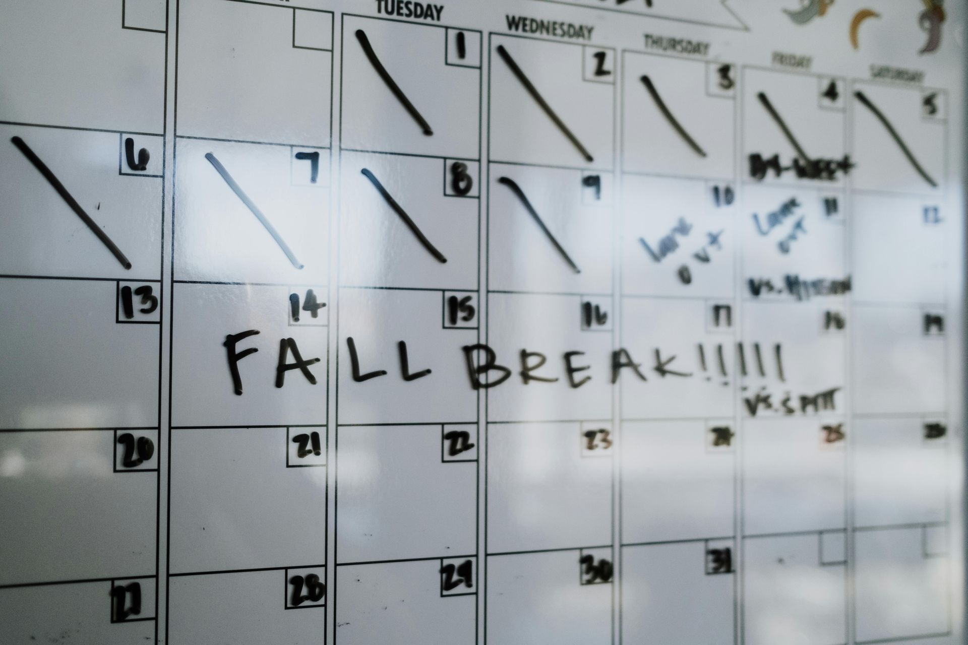 School Calendar