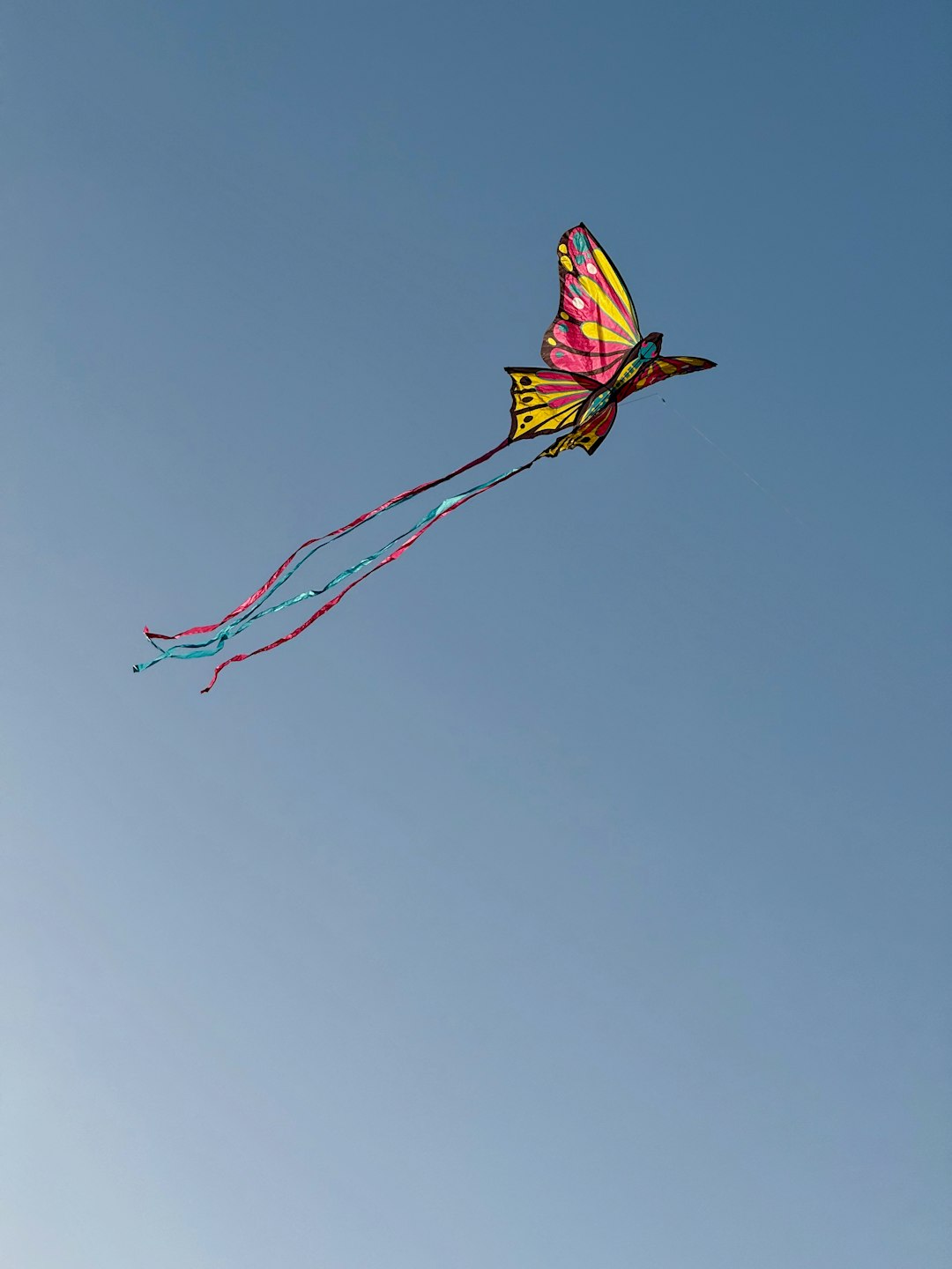 Would you like to fly a kite or bounce a ball? — I would like to _.
1. Fly a kite
2. Bounce a ball
