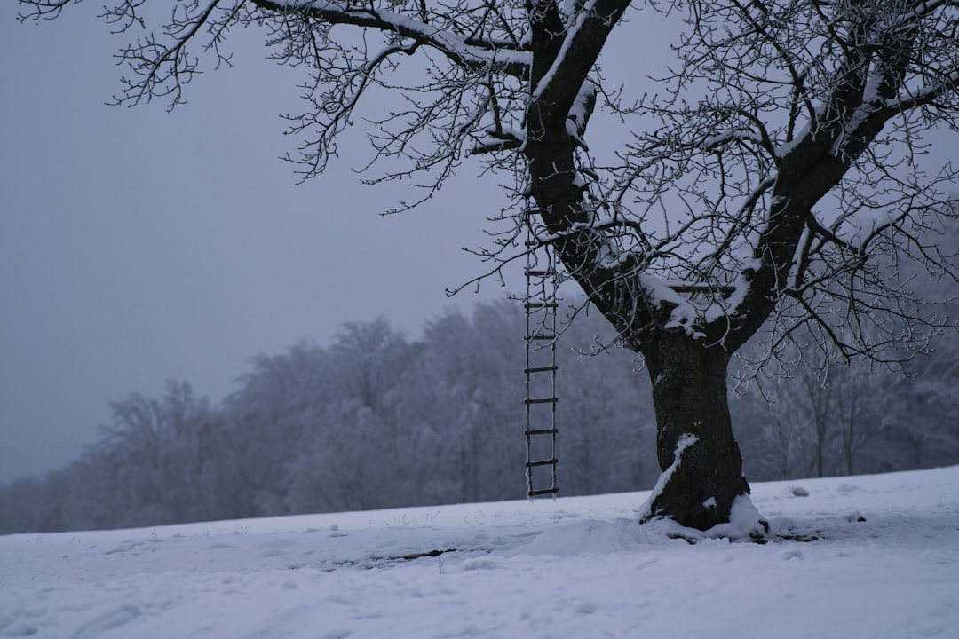 Rope ladder