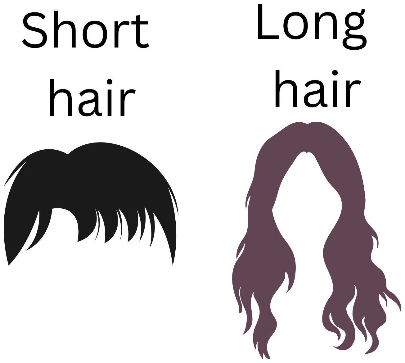 Short hair / Long hair