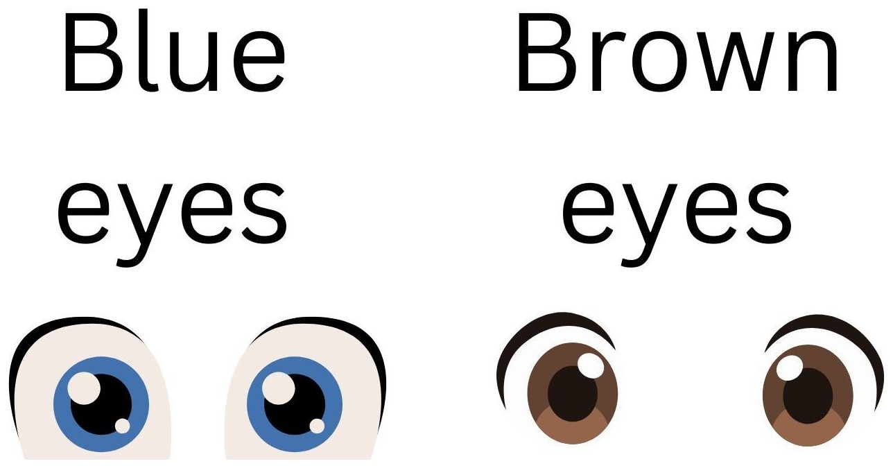 Blue eyes / Brown eyes