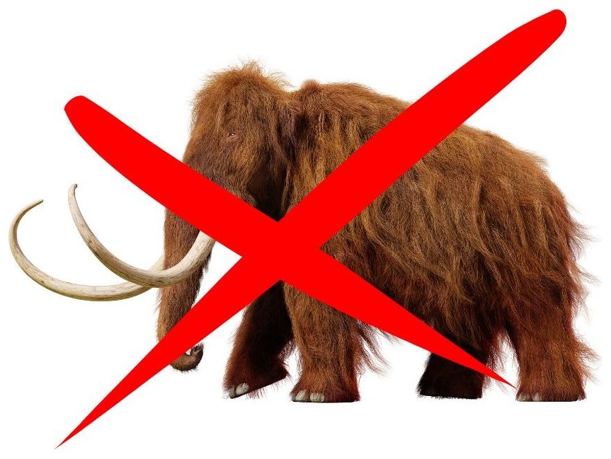 Extinct