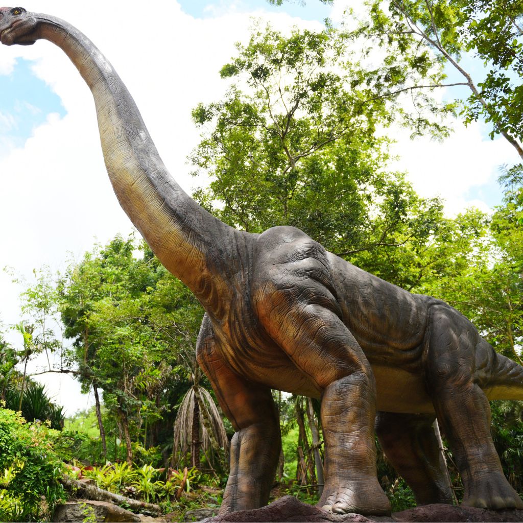 Diplodocus