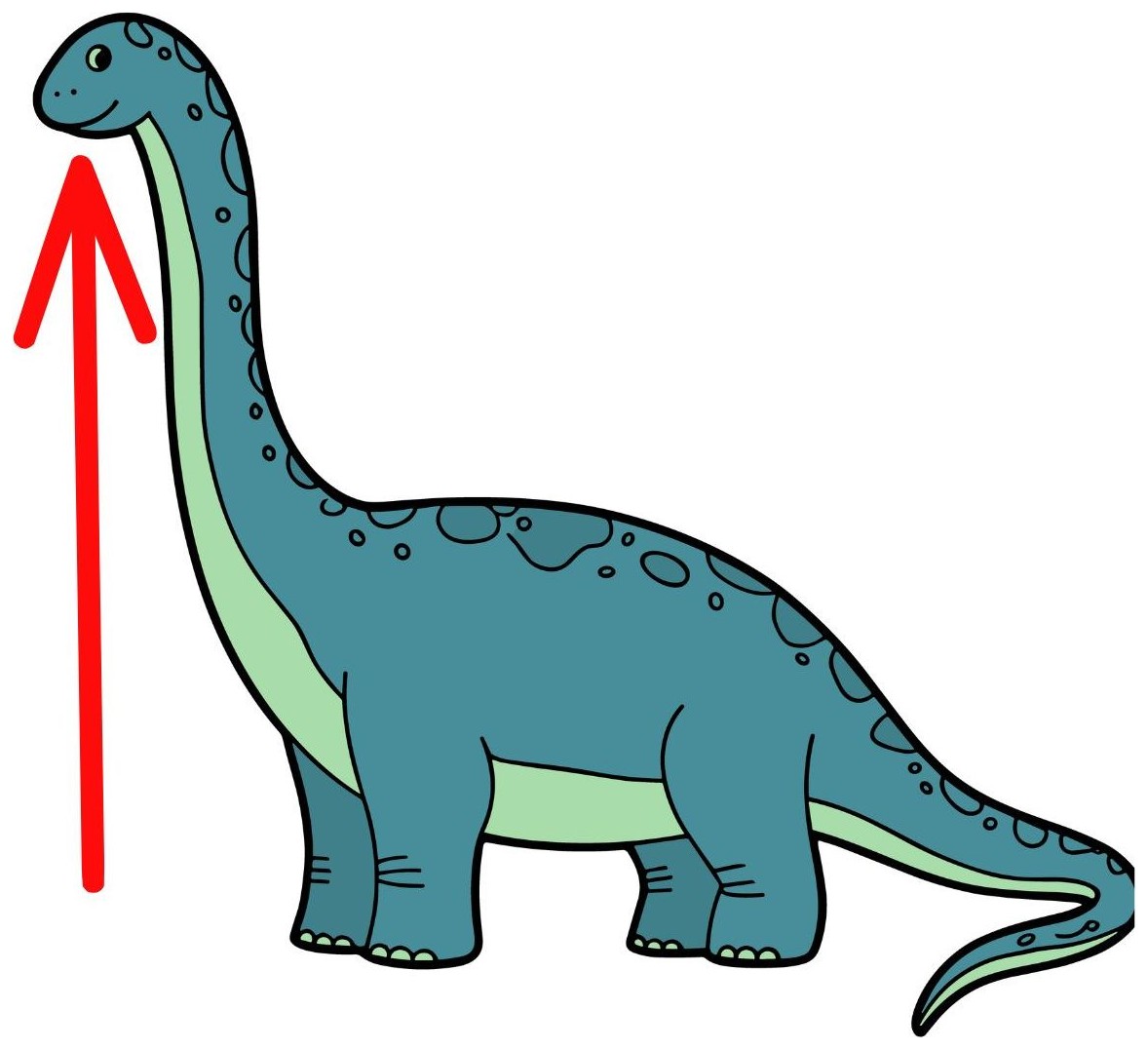 Long
