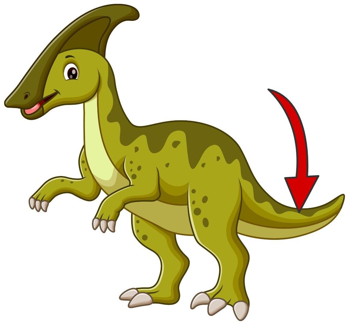 Tail