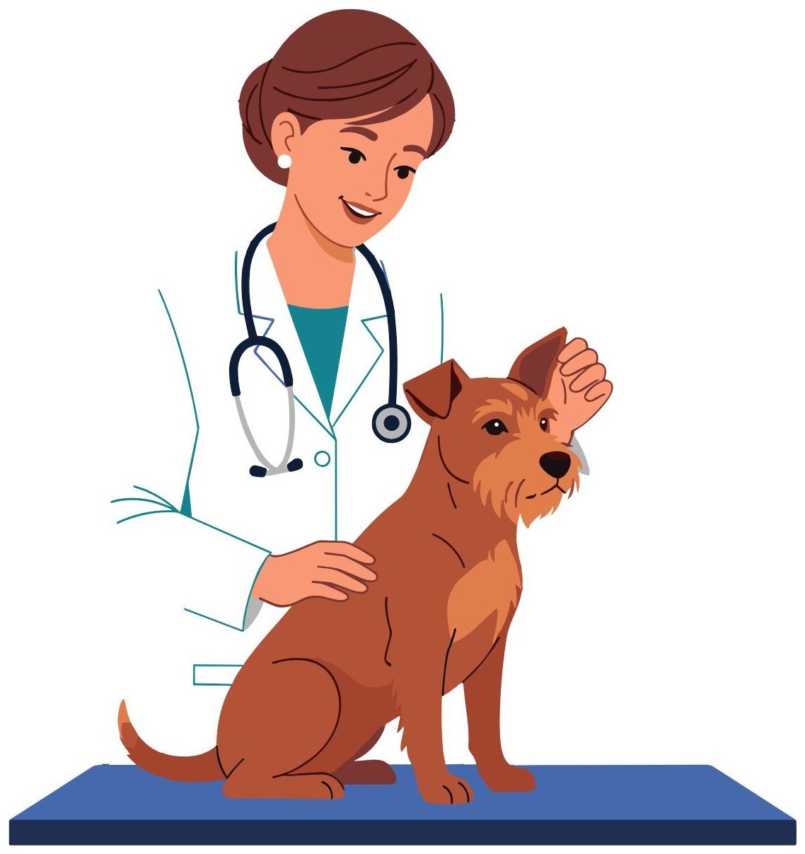Vet