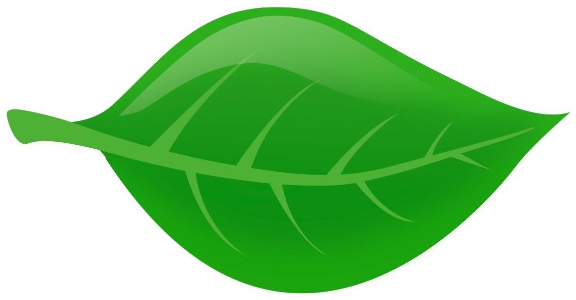 Leaf