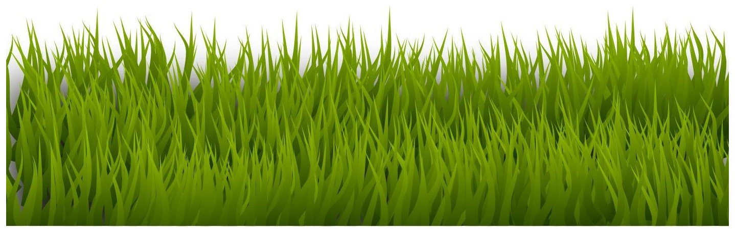Grass