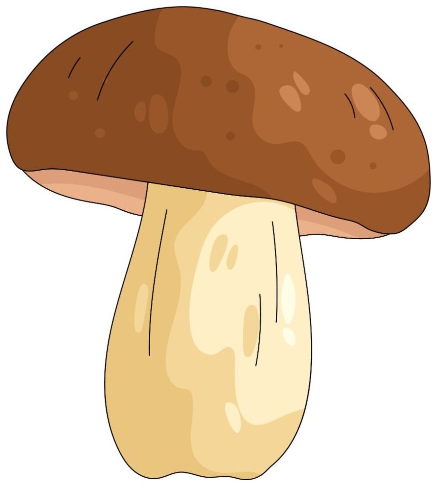 Mushroom
