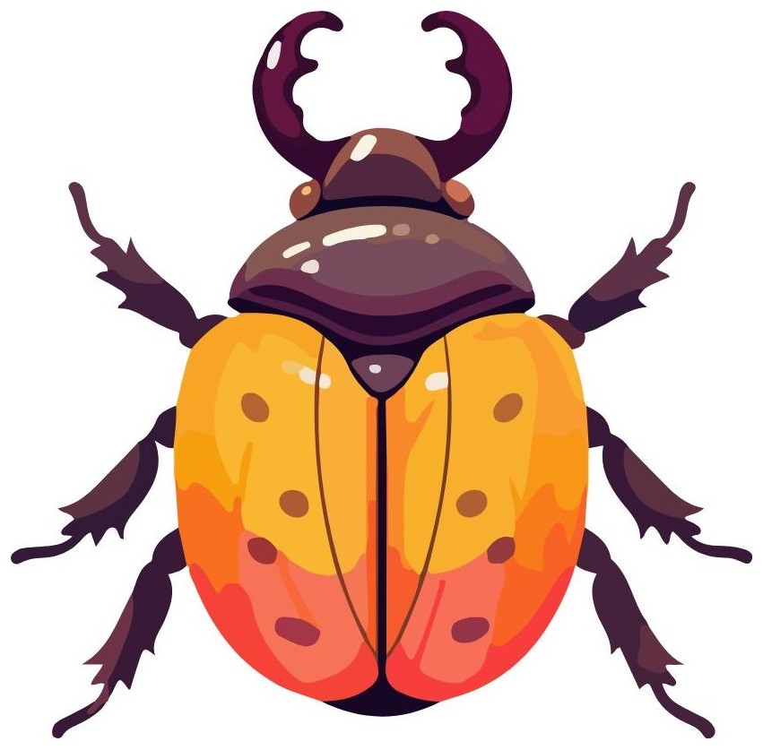 Bug