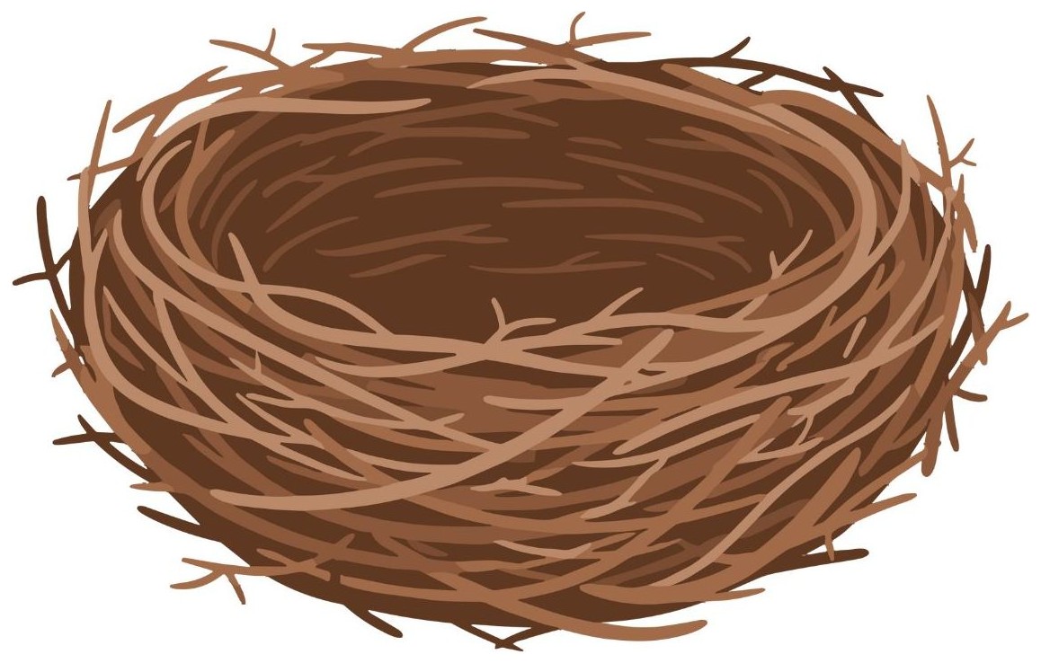 Nest