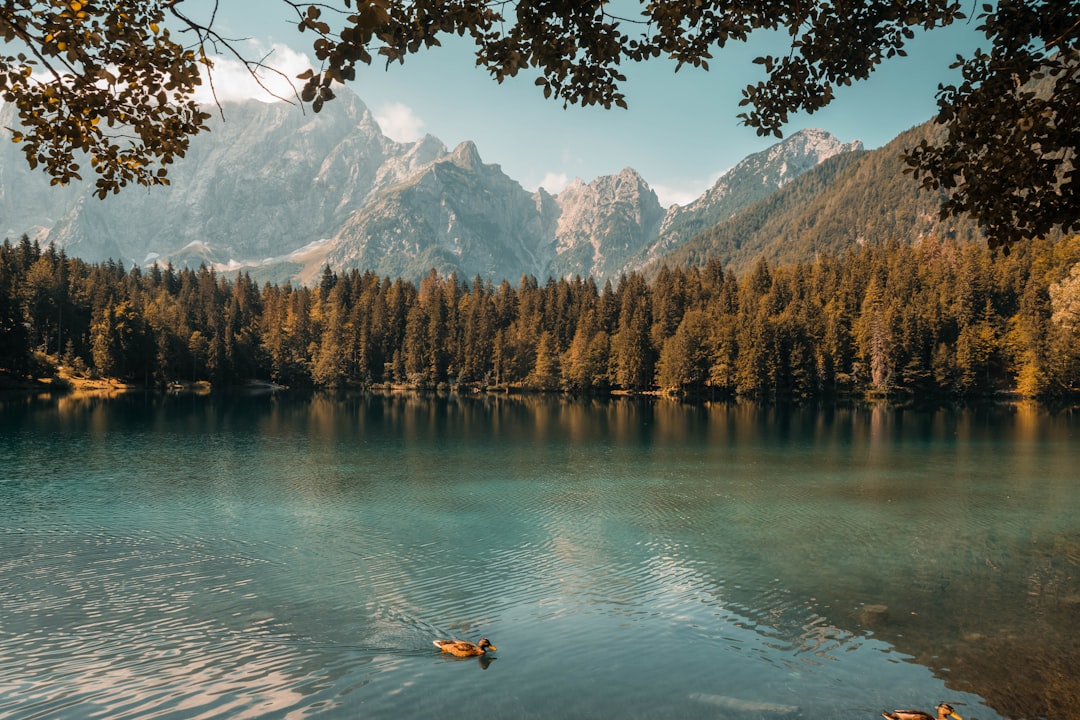 Can you see a lake or a road? — I can see a __.