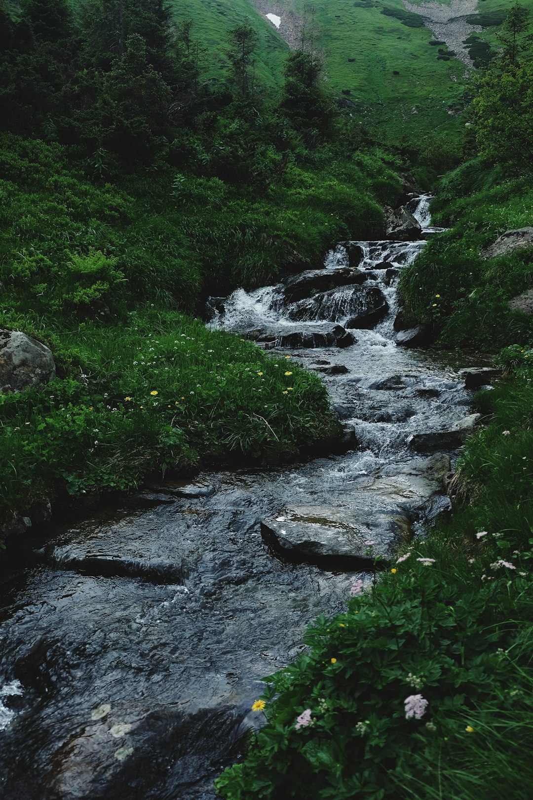 Stream 💧
