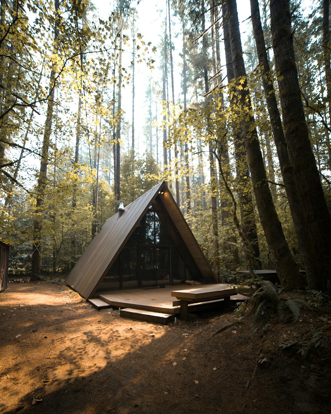 Shelter