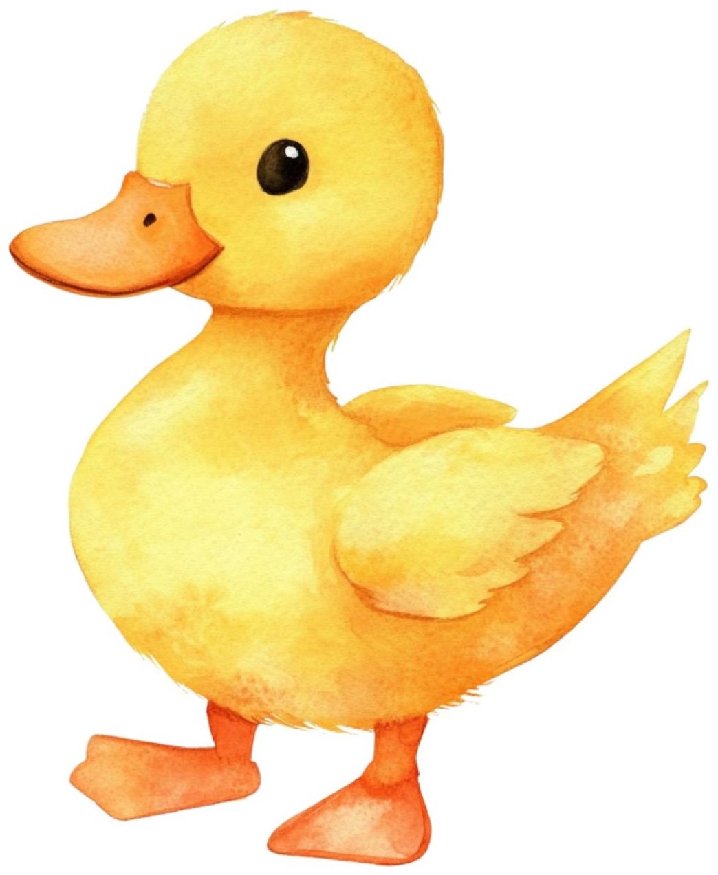 Duckling