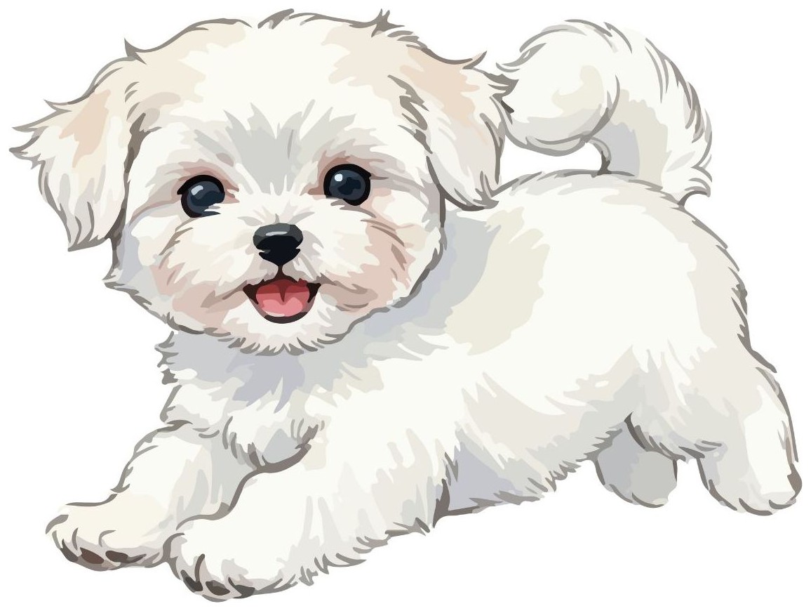 Puppy