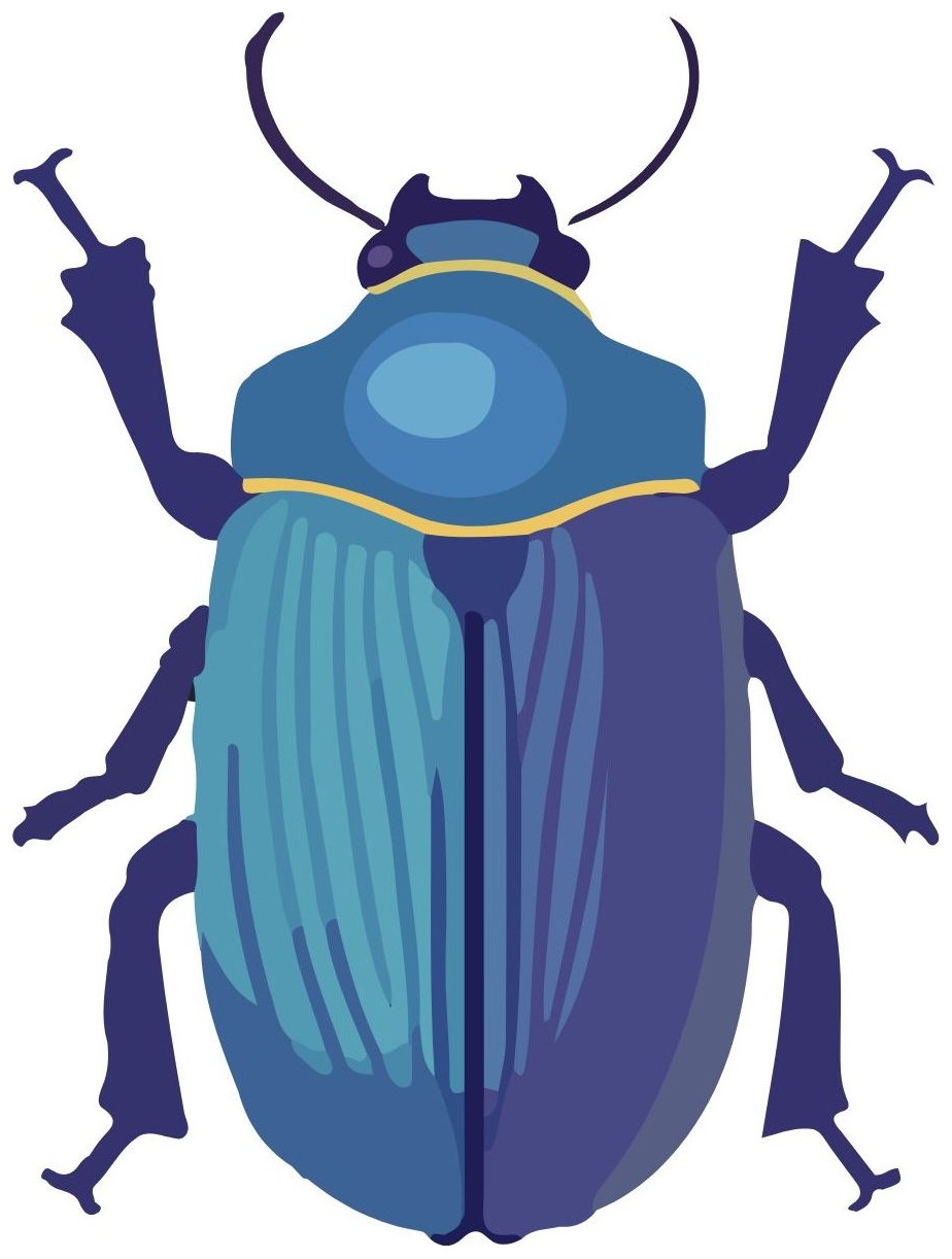 Beetle