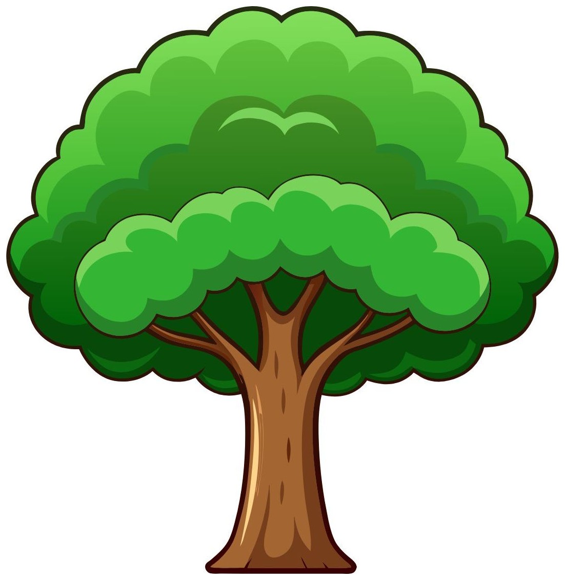 What can you see? A flower or a tree? — I can see a __.