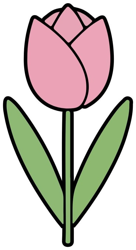 Tulip