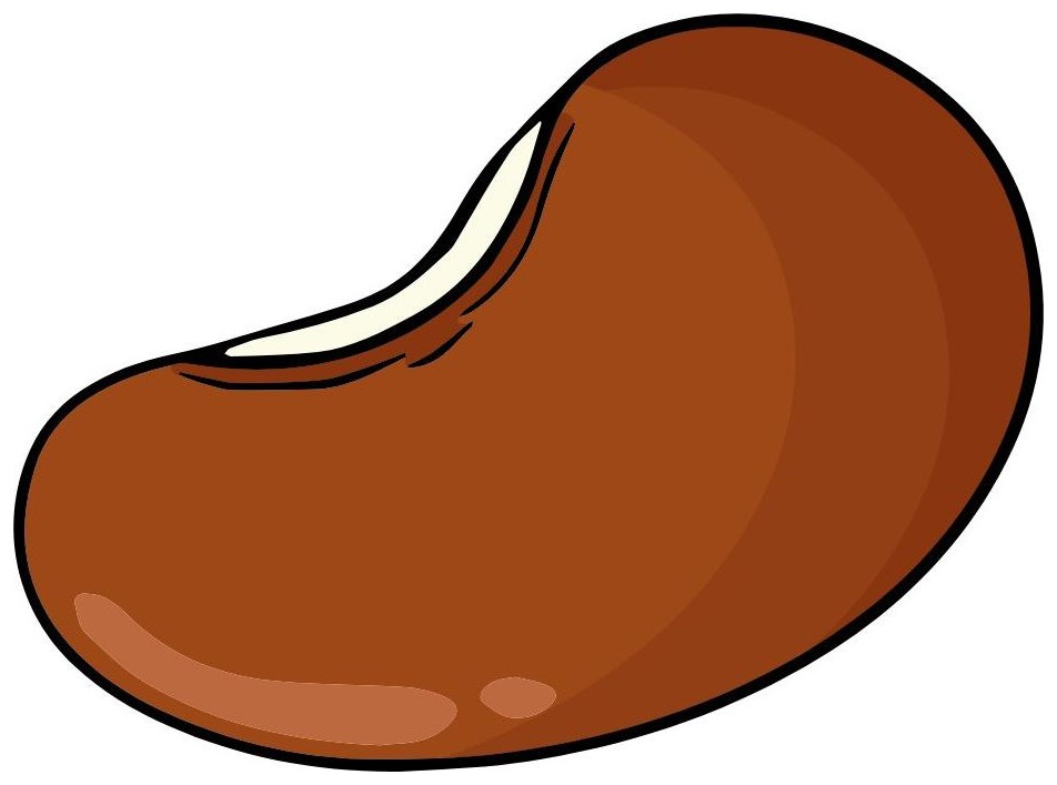 Seed