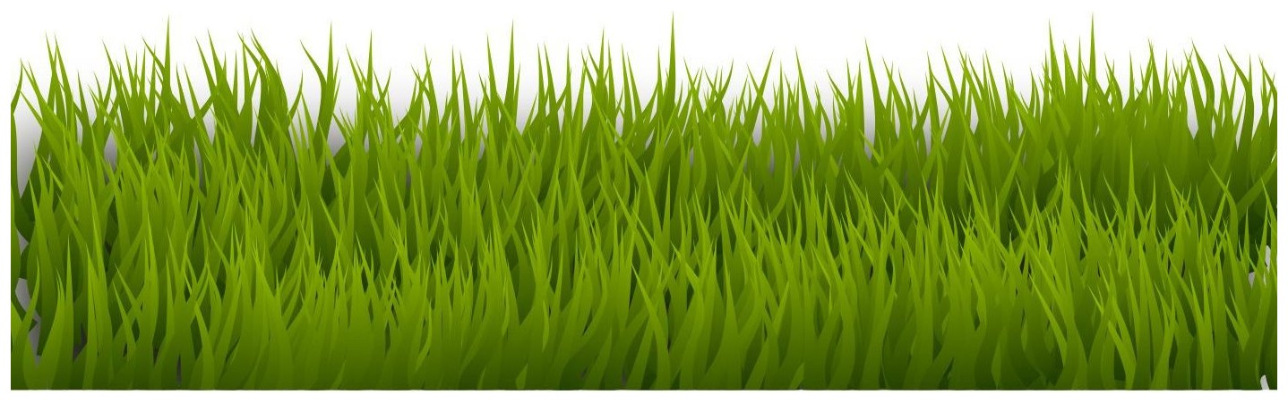 Grass